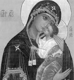 scap2.jpg (10744 bytes)