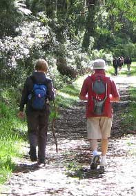 2011-pilgrimage