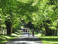 PilgrimageTrack2015